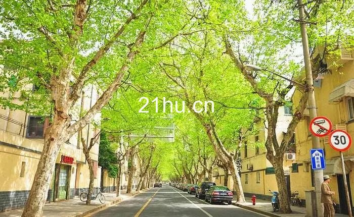 百年愚园路-气质的沉淀、优雅的改变