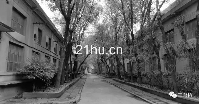 上海三邻桥介绍