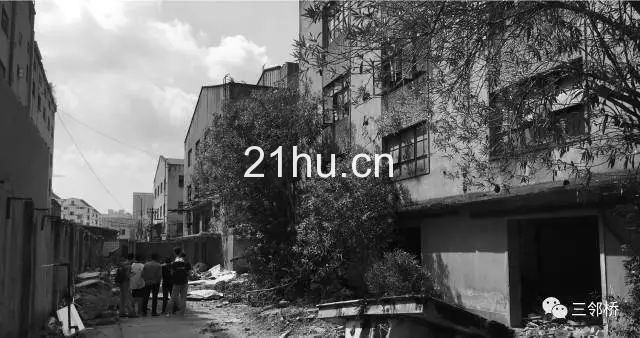 上海三邻桥介绍