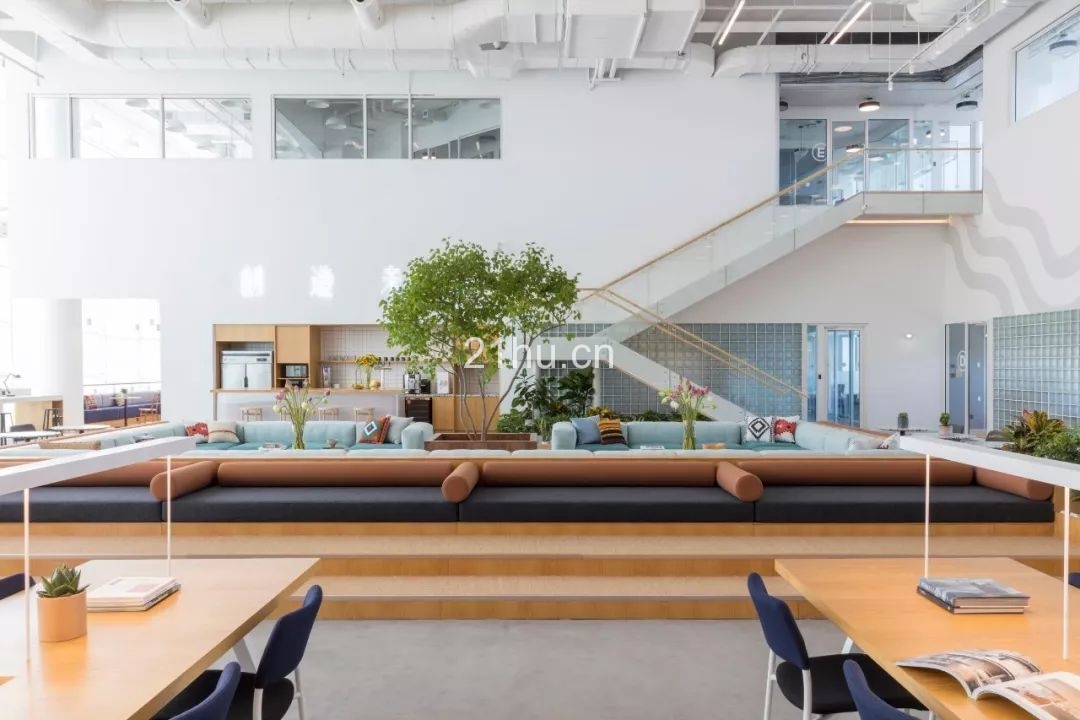 这一次，我们将一整棵树种进了这个“公园里”的办公空间