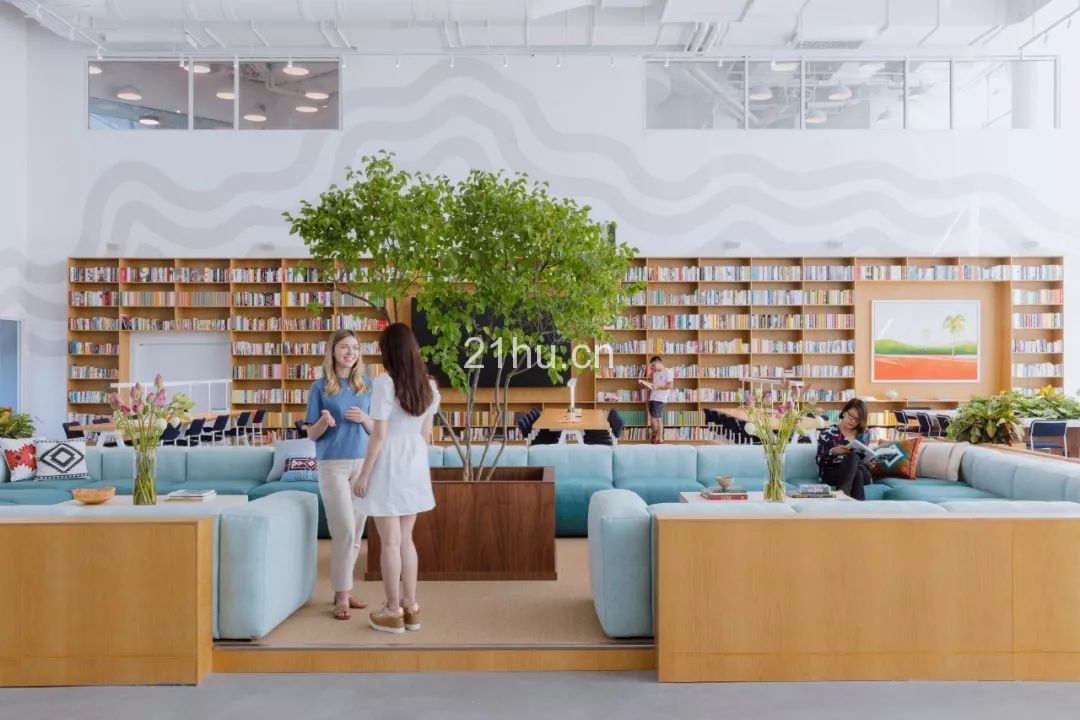 这一次，我们将一整棵树种进了这个“公园里”的办公空间