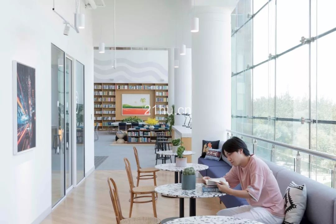 这一次，我们将一整棵树种进了这个“公园里”的办公空间