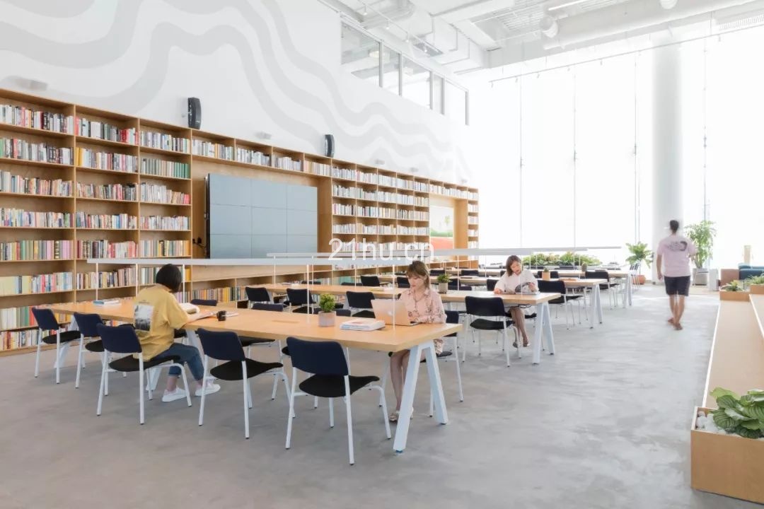 这一次，我们将一整棵树种进了这个“公园里”的办公空间