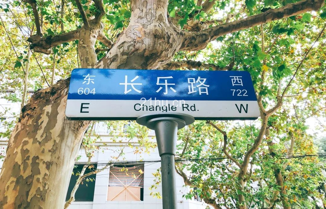 趣空间 | 临窗观草木,纵情山水间:趣办@长乐路