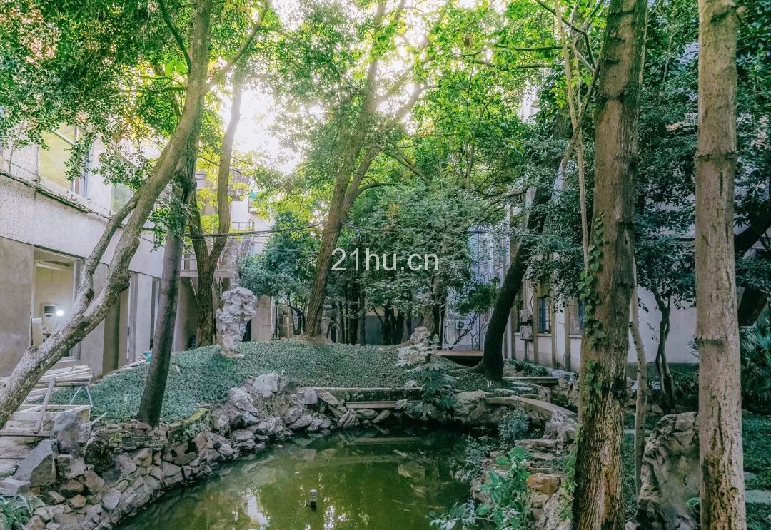 趣空间 | 临窗观草木,纵情山水间:趣办@长乐路