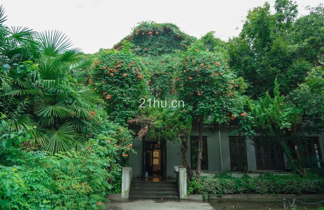 趣空间 | 临窗观草木,纵情山水间:趣办@长乐路