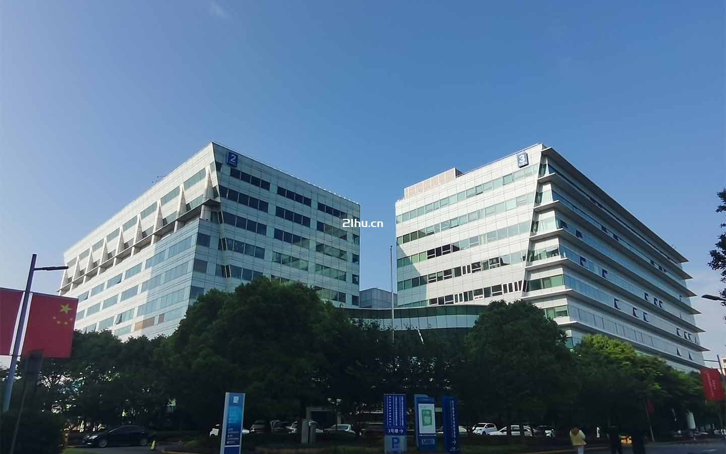 礼德国际