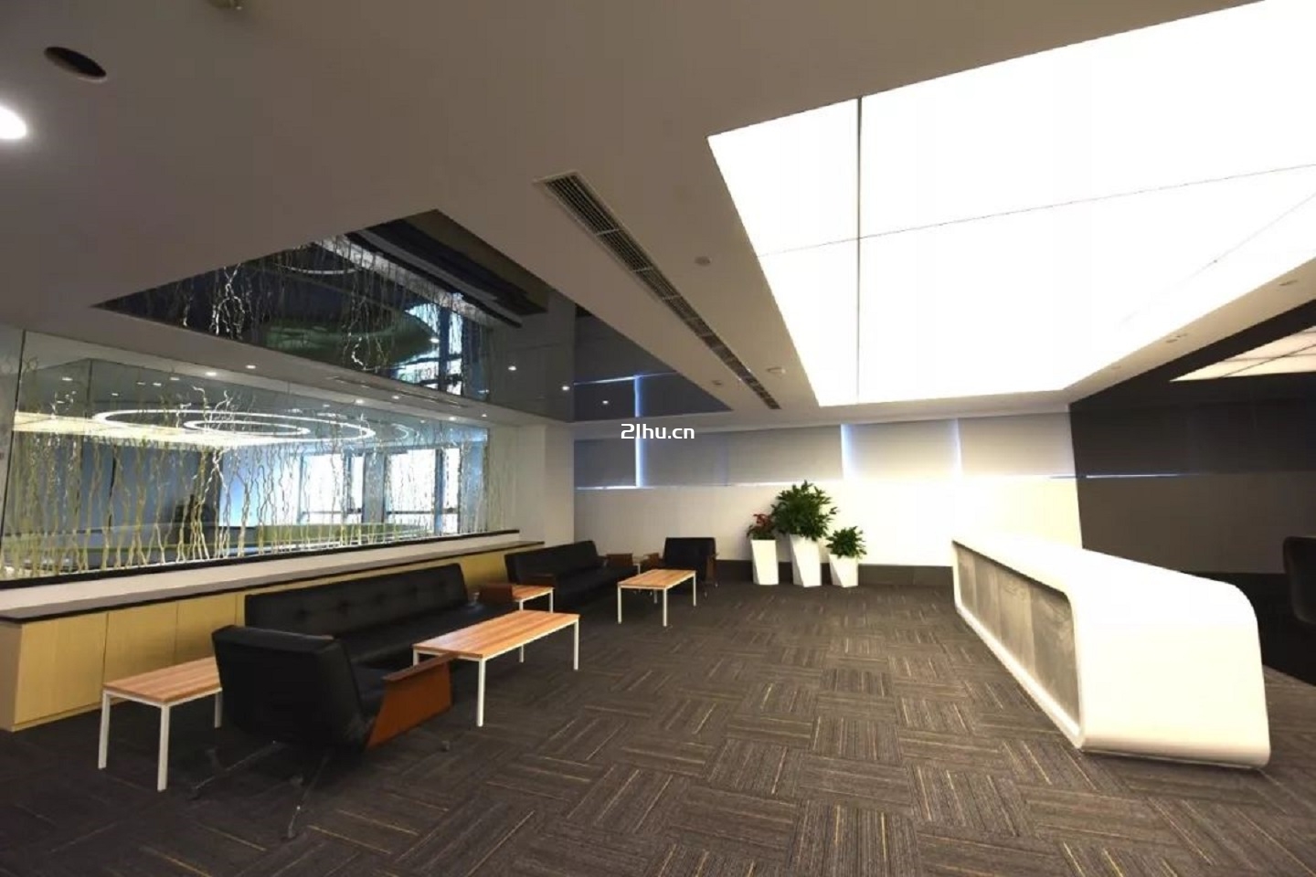 Y-CITY全球创新金桥中心