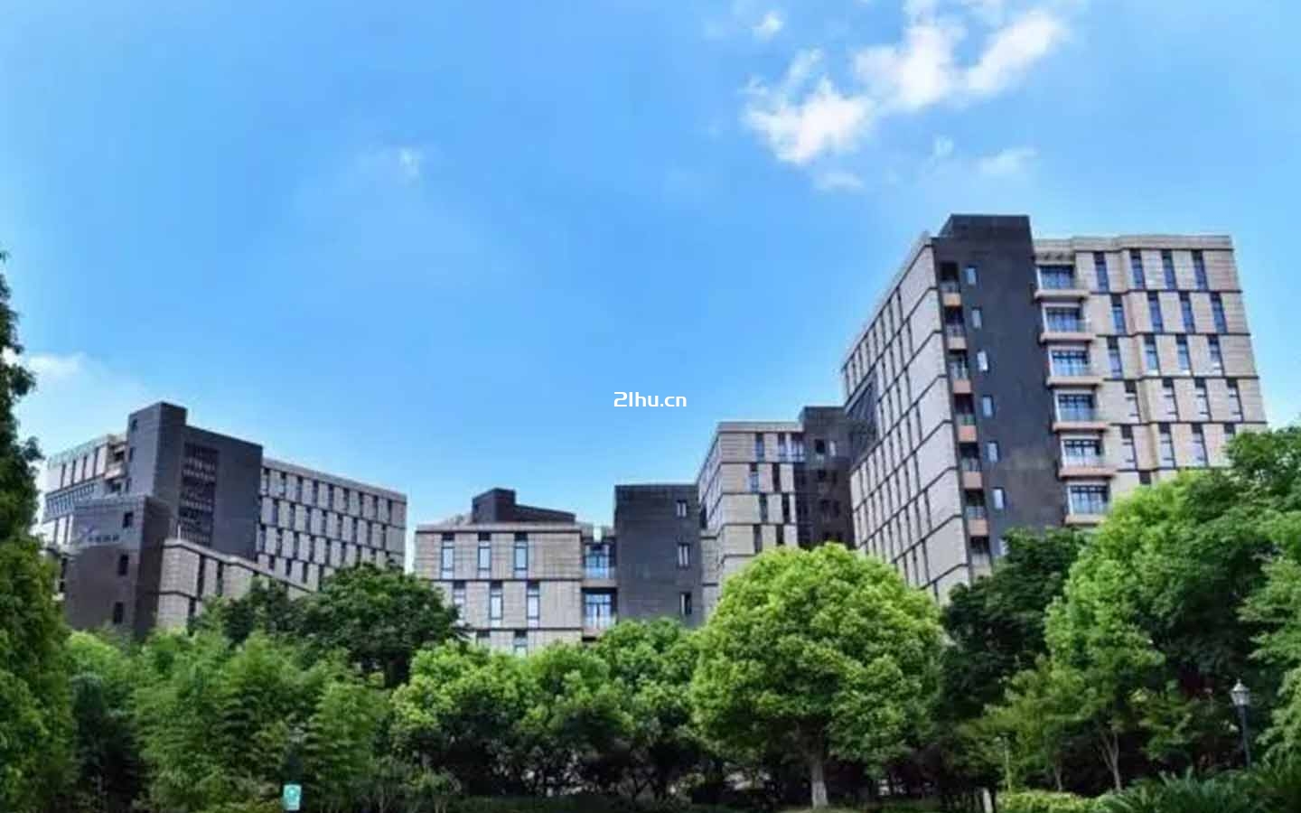 金领之都