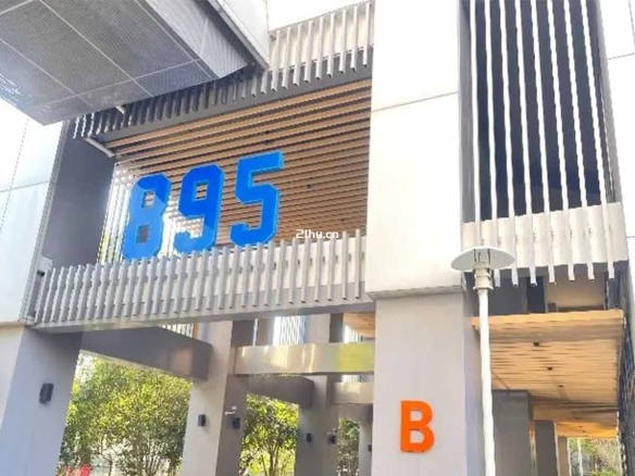张江895孵化器