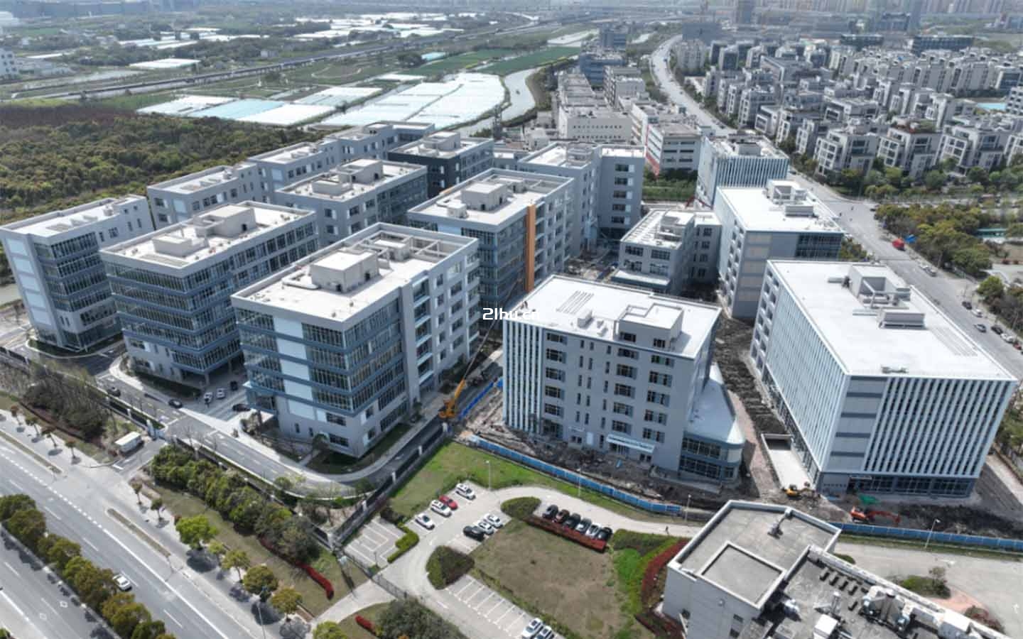 张江基因岛